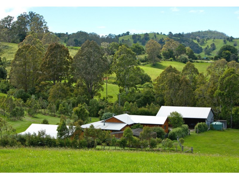 Dorrigo NSW 2453