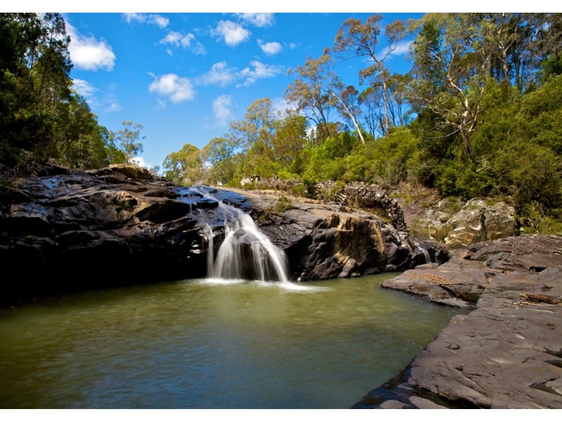 Dorrigo NSW 2453