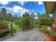 Dorrigo NSW 2453