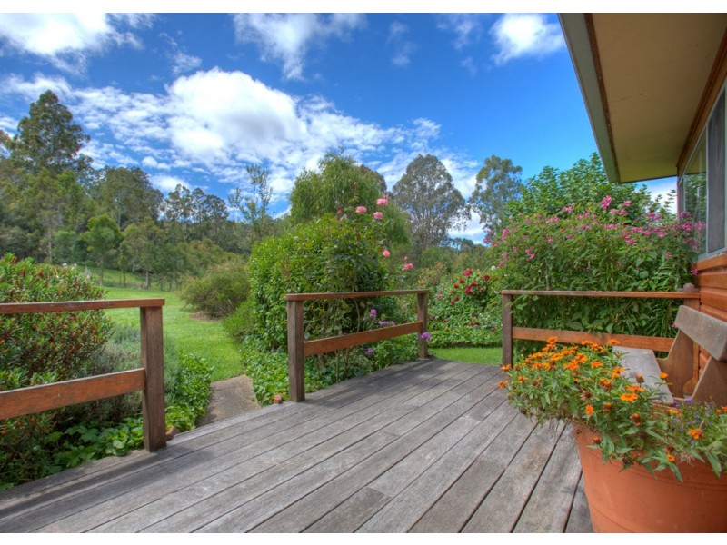 Dorrigo NSW 2453