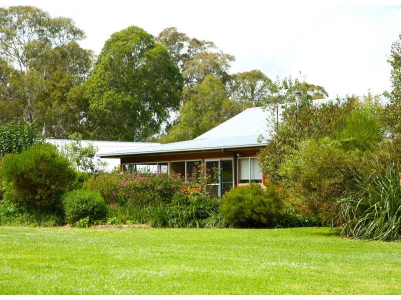 Dorrigo NSW 2453