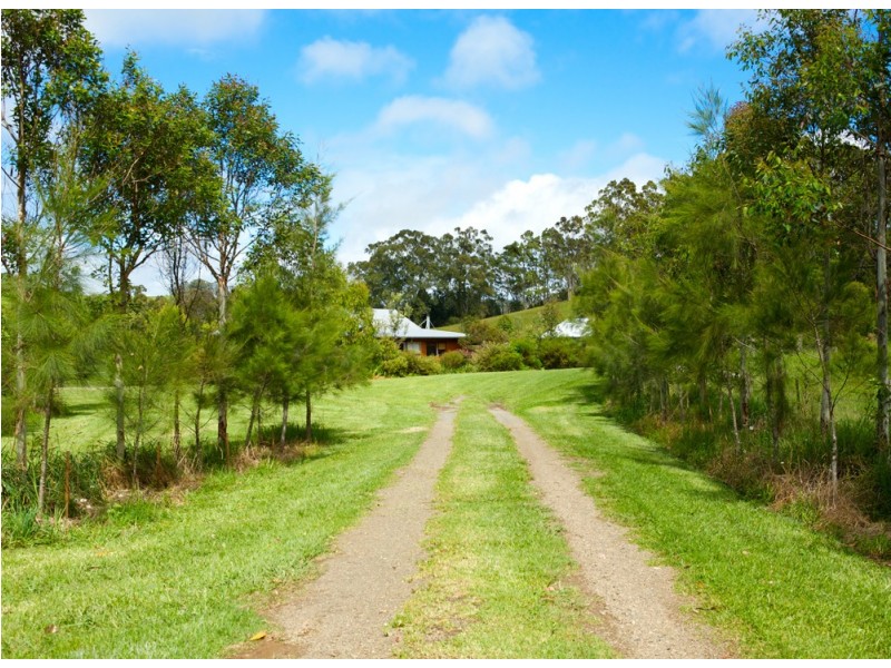Dorrigo NSW 2453