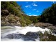 Dorrigo NSW 2453