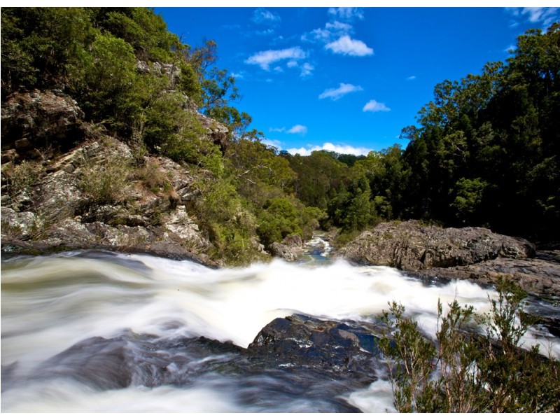 Dorrigo NSW 2453