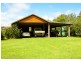 Dorrigo NSW 2453
