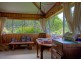 Dorrigo NSW 2453