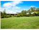 Dorrigo NSW 2453
