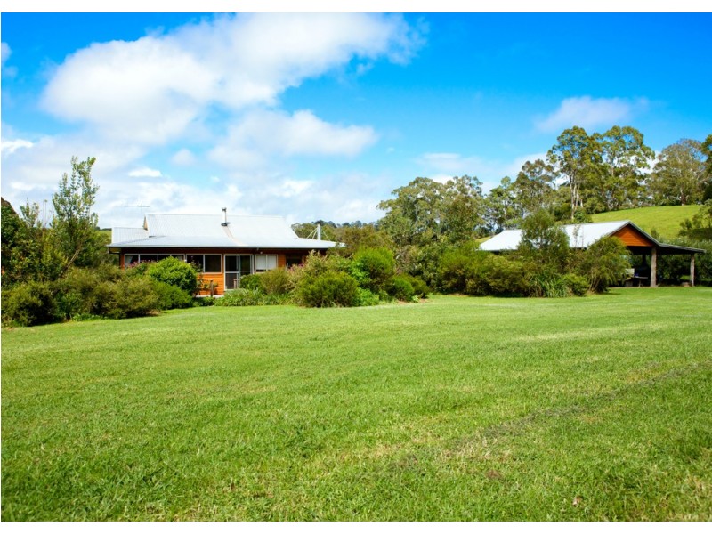 Dorrigo NSW 2453