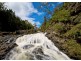 Dorrigo NSW 2453