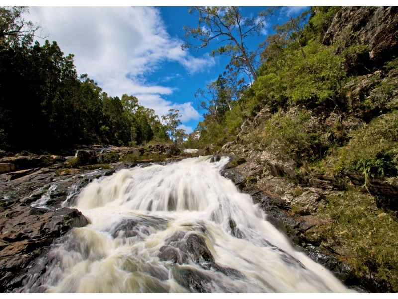 Dorrigo NSW 2453