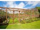 Dorrigo NSW 2453