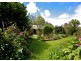 Dorrigo NSW 2453