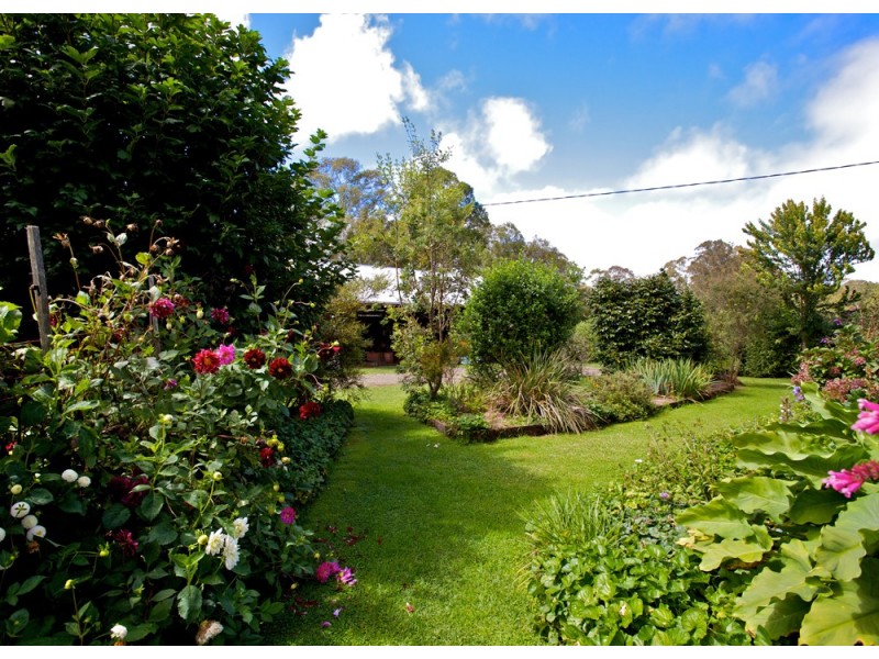 Dorrigo NSW 2453