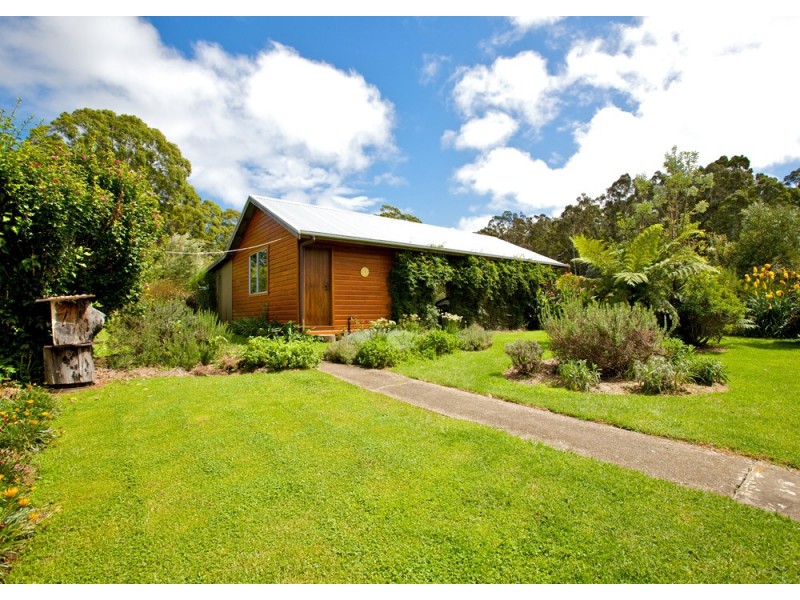 Dorrigo NSW 2453