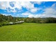 Dorrigo NSW 2453
