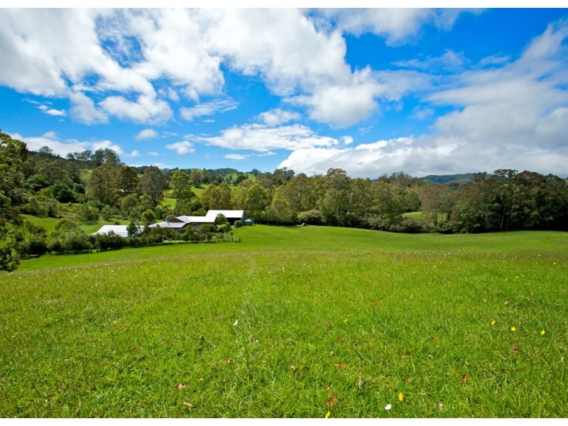 Dorrigo NSW 2453