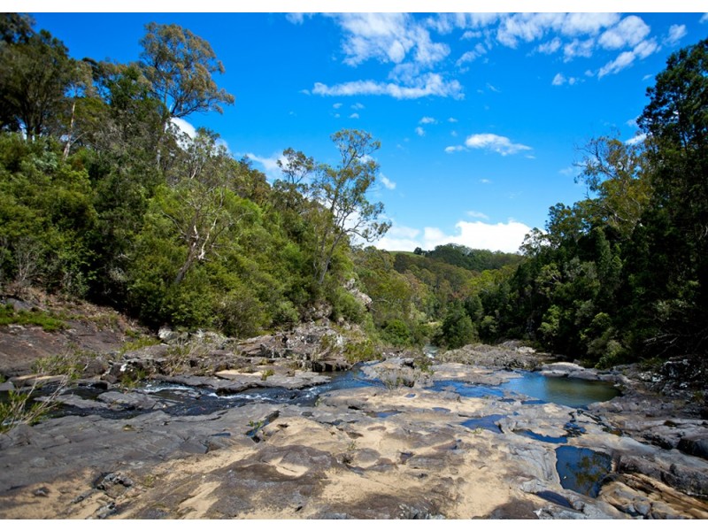 Dorrigo NSW 2453