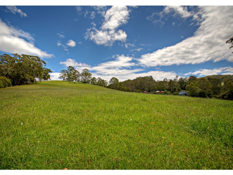 Dorrigo NSW 2453