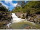 Dorrigo NSW 2453