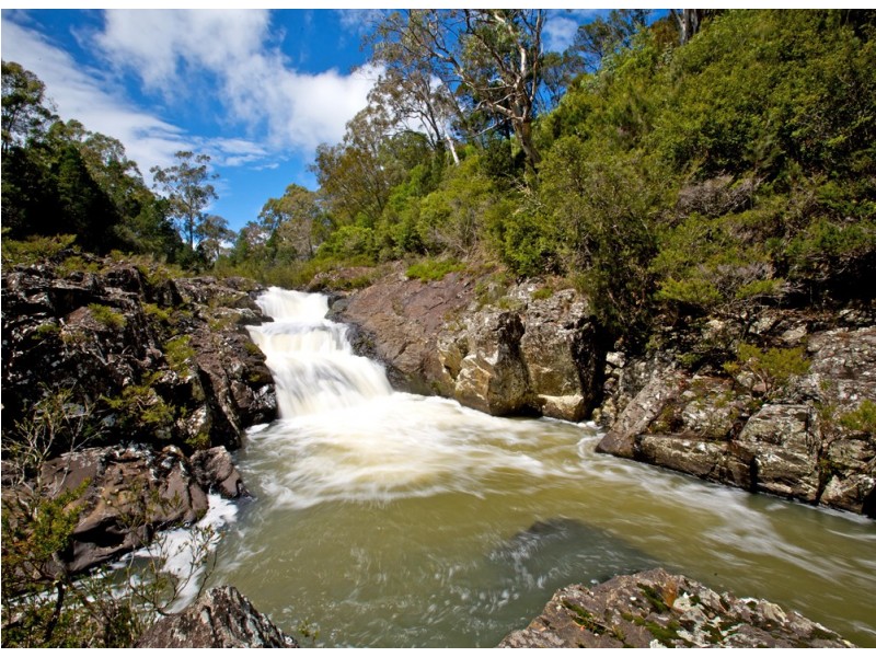 Dorrigo NSW 2453