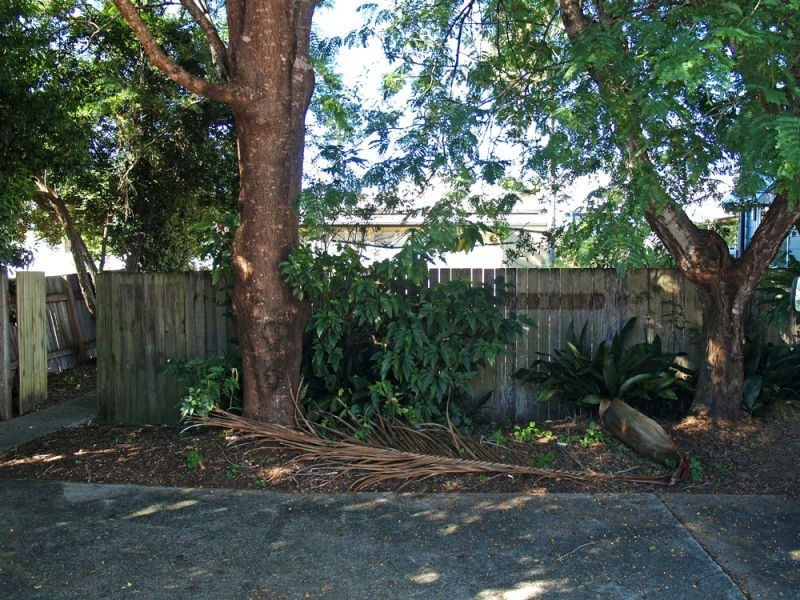 15 William Street, Bellingen NSW 2454