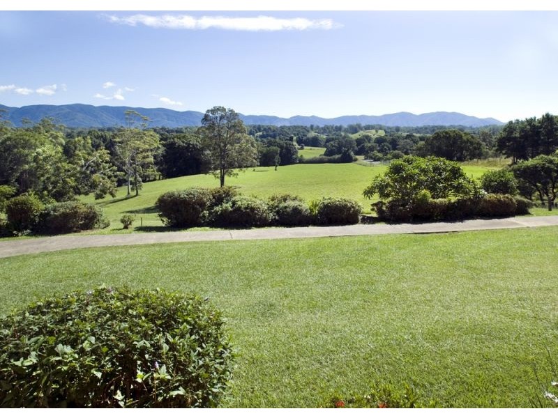 1385 Waterfall Way, Bellingen NSW 2454