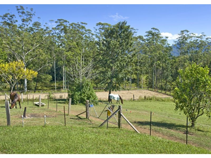 1385 Waterfall Way, Bellingen NSW 2454