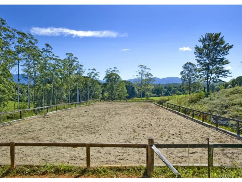 1385 Waterfall Way, Bellingen NSW 2454