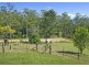 1385 Waterfall Way, Bellingen NSW 2454
