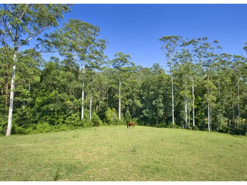 1385 Waterfall Way, Bellingen NSW 2454