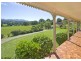 1385 Waterfall Way, Bellingen NSW 2454