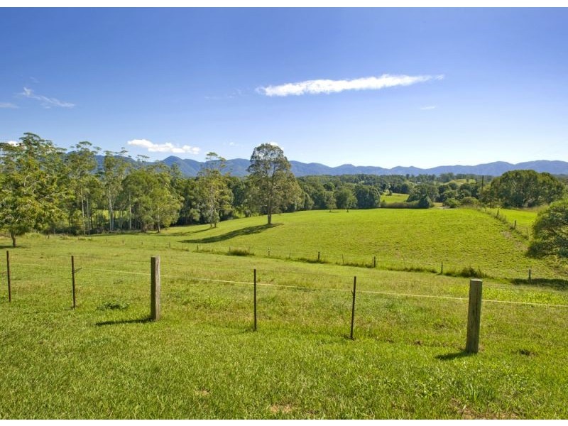 1385 Waterfall Way, Bellingen NSW 2454