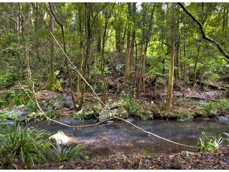 Upper Orara NSW 2450