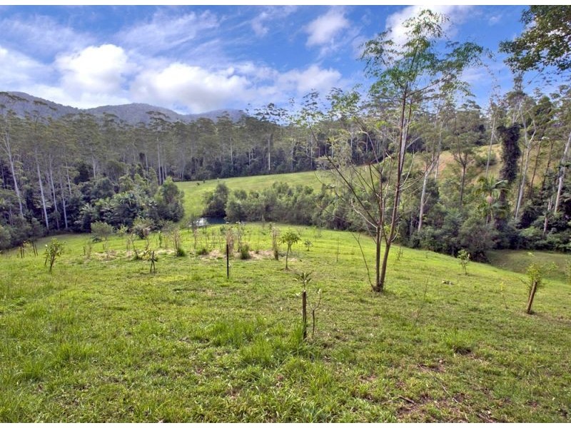 Upper Orara NSW 2450