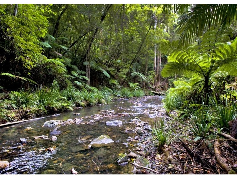 Upper Orara NSW 2450