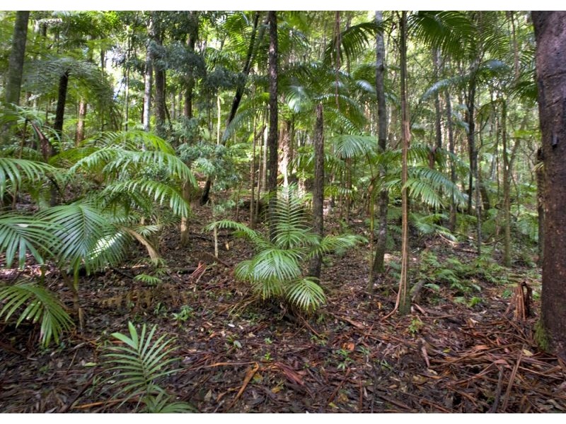 Upper Orara NSW 2450