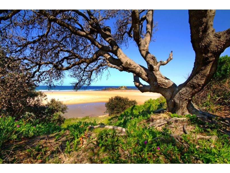 43A Hearnes Lake Road, Woolgoolga NSW 2456