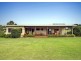 850 Waterfall Way, Bellingen NSW 2454