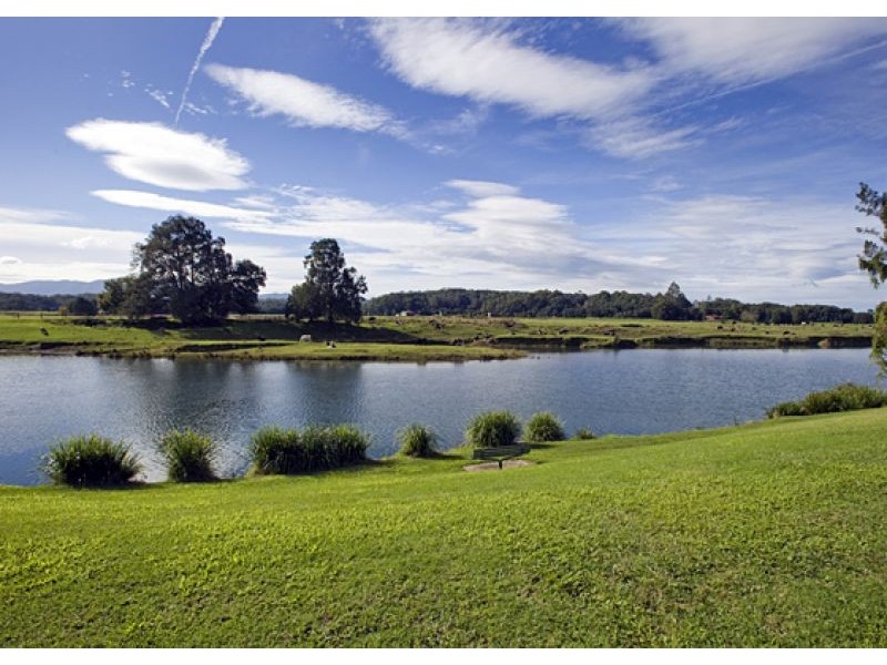 850 Waterfall Way, Bellingen NSW 2454