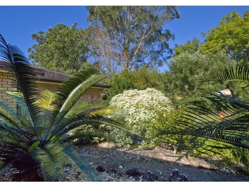 334 Valla Road, Valla NSW 2448