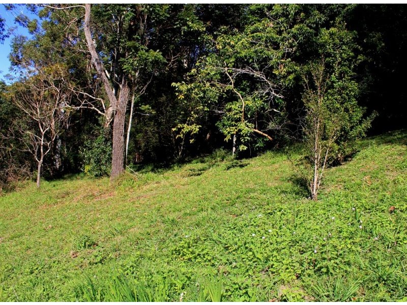 16 Hill Street, Bellingen NSW 2454