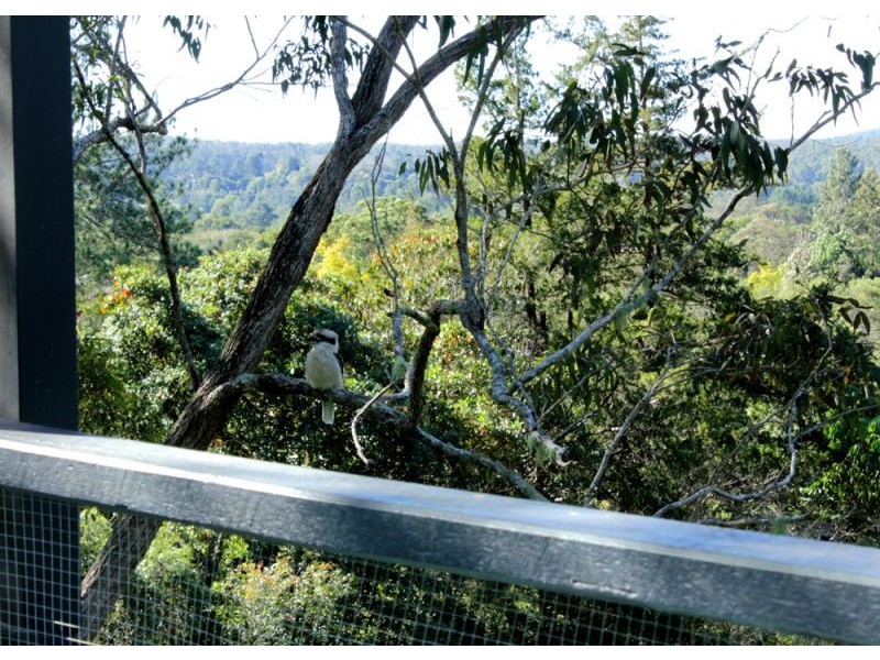 16 Hill Street, Bellingen NSW 2454