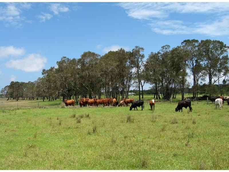 Palmers Island NSW 2463