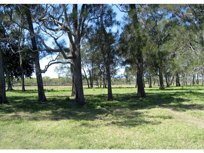 Palmers Island NSW 2463