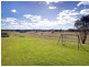 90 Upper Warrell Creek Road, Macksville NSW 2447