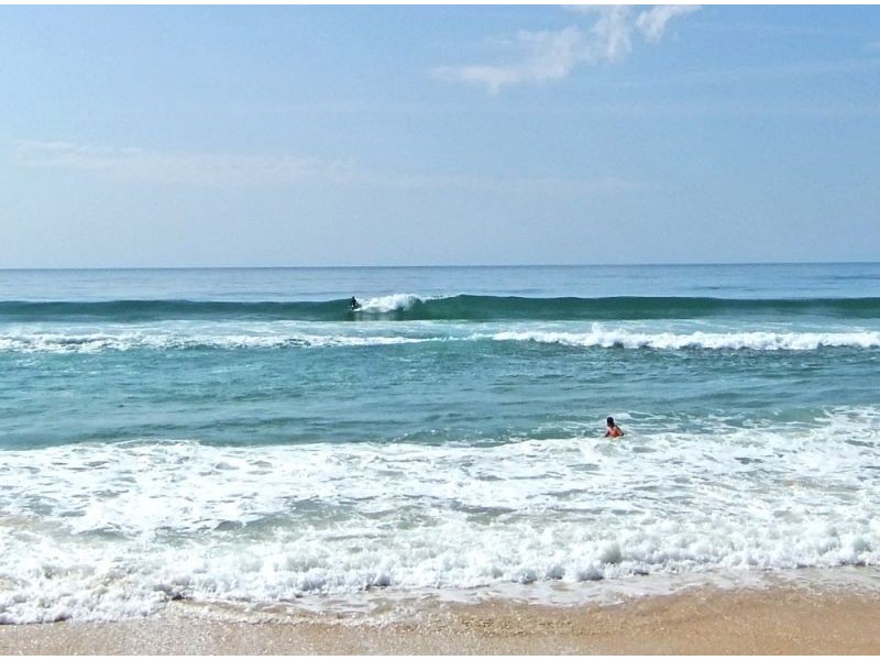 278 Barnetts Road, Gumma NSW 2447