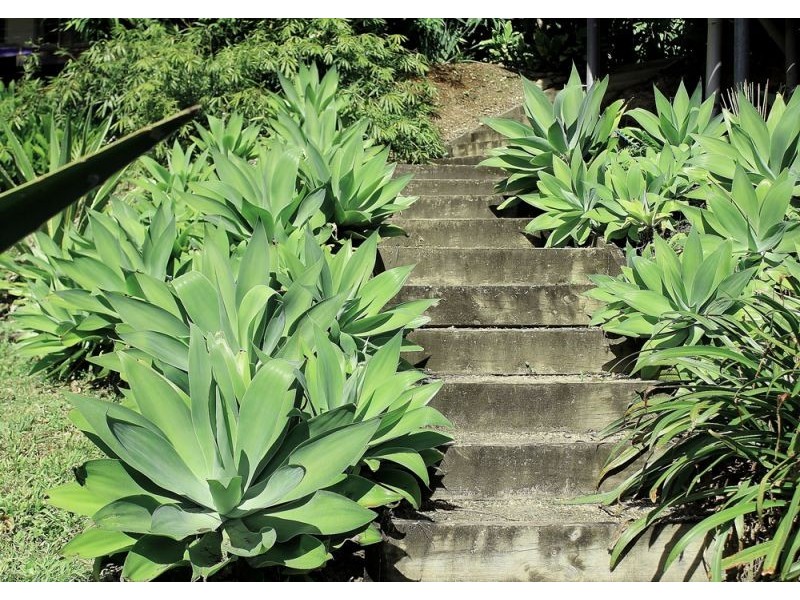 24a Hill Street, Bellingen NSW 2454