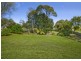 37 Kurrajong Street, Dorrigo NSW 2453