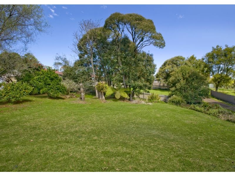 37 Kurrajong Street, Dorrigo NSW 2453