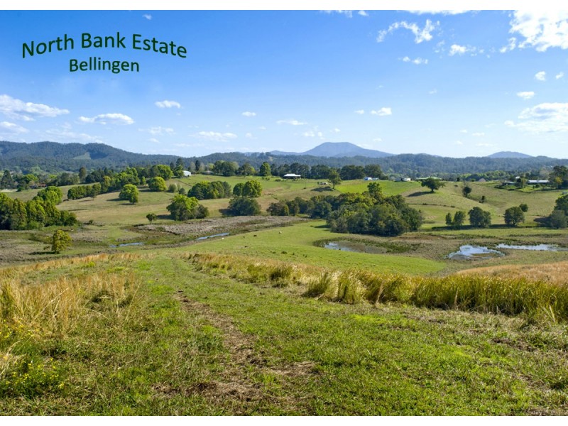 McLean Drive, Bellingen NSW 2454